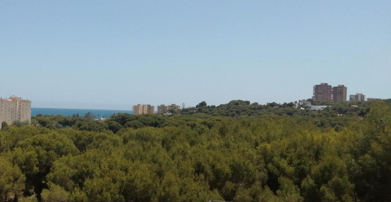 Campoamor Seaview מראה חיצוני תמונה