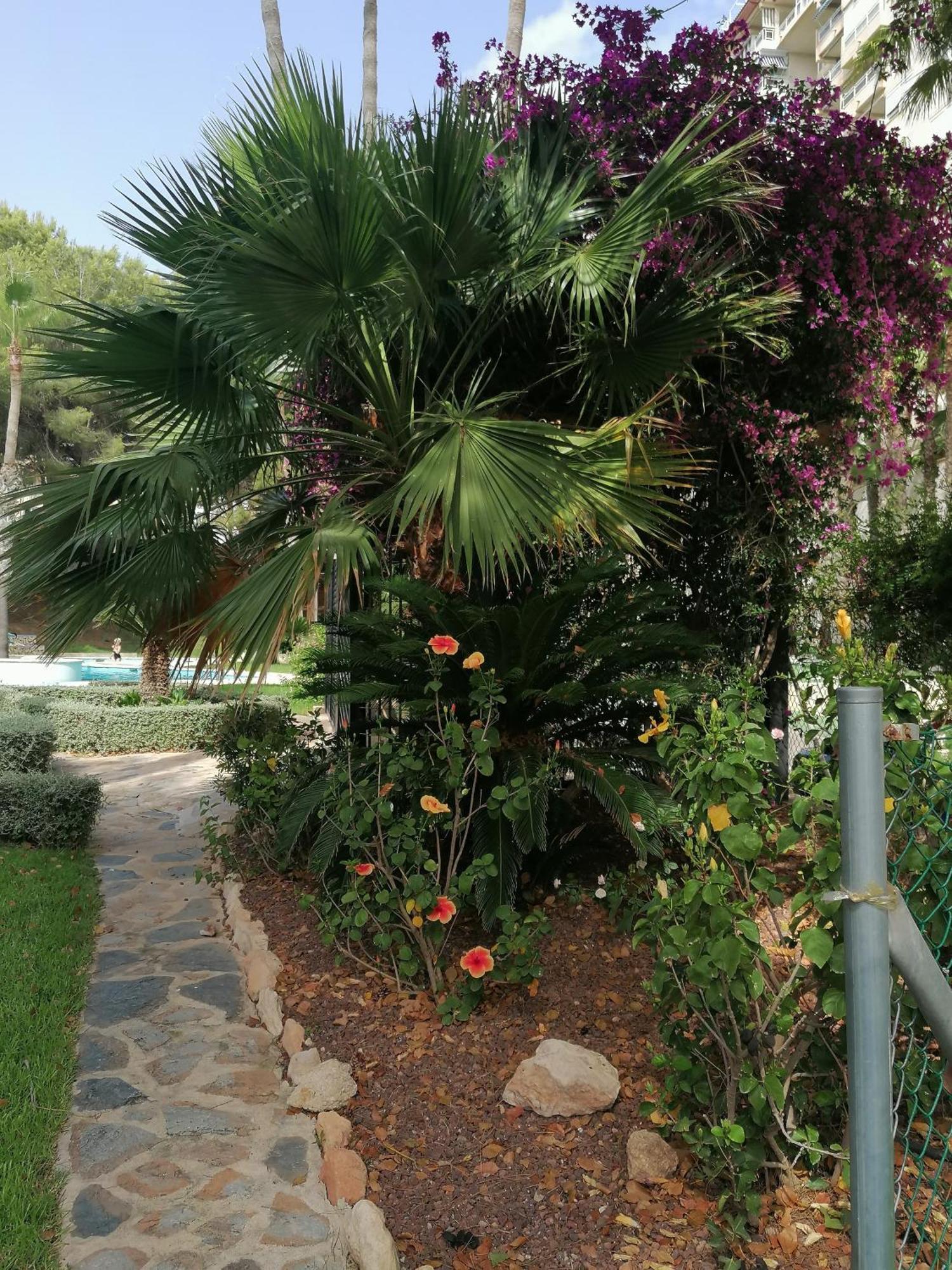 Campoamor Seaview מראה חיצוני תמונה