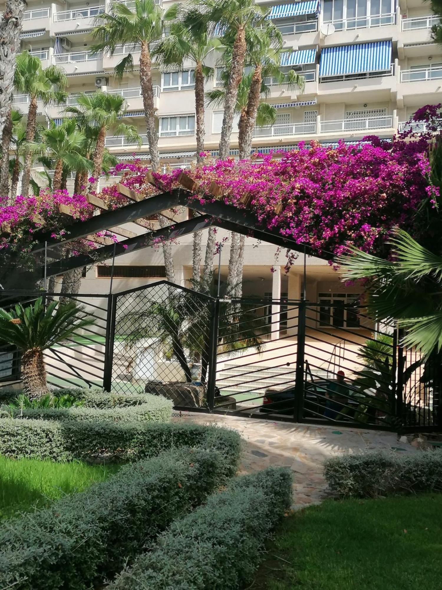 Campoamor Seaview מראה חיצוני תמונה